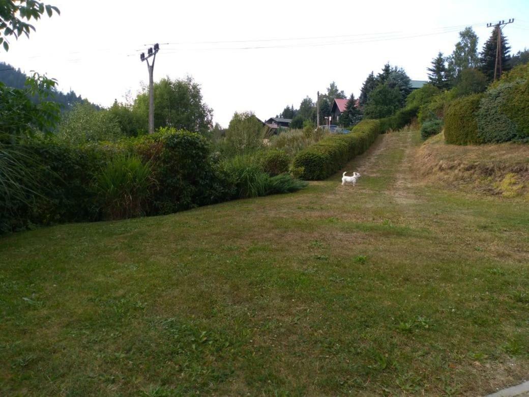 Apartmán Kral